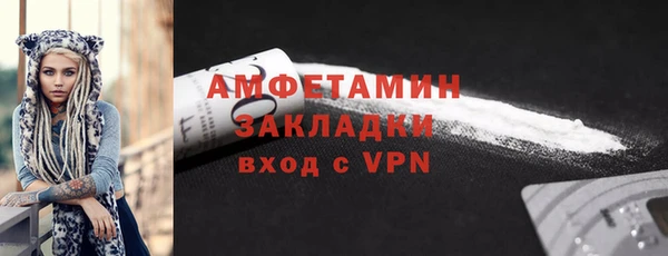 прущие грибы Верея