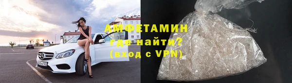 прущие грибы Верея