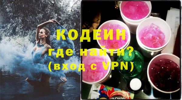 прущие грибы Верея