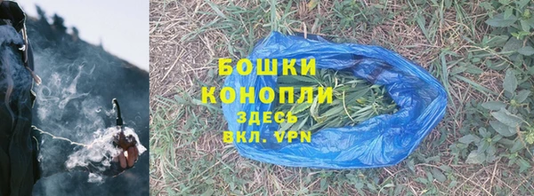 прущие грибы Верея