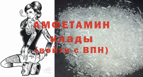 прущие грибы Верея