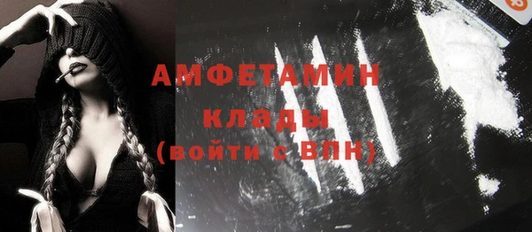 прущие грибы Верея