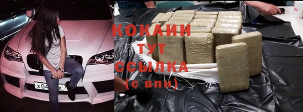 прущие грибы Верея